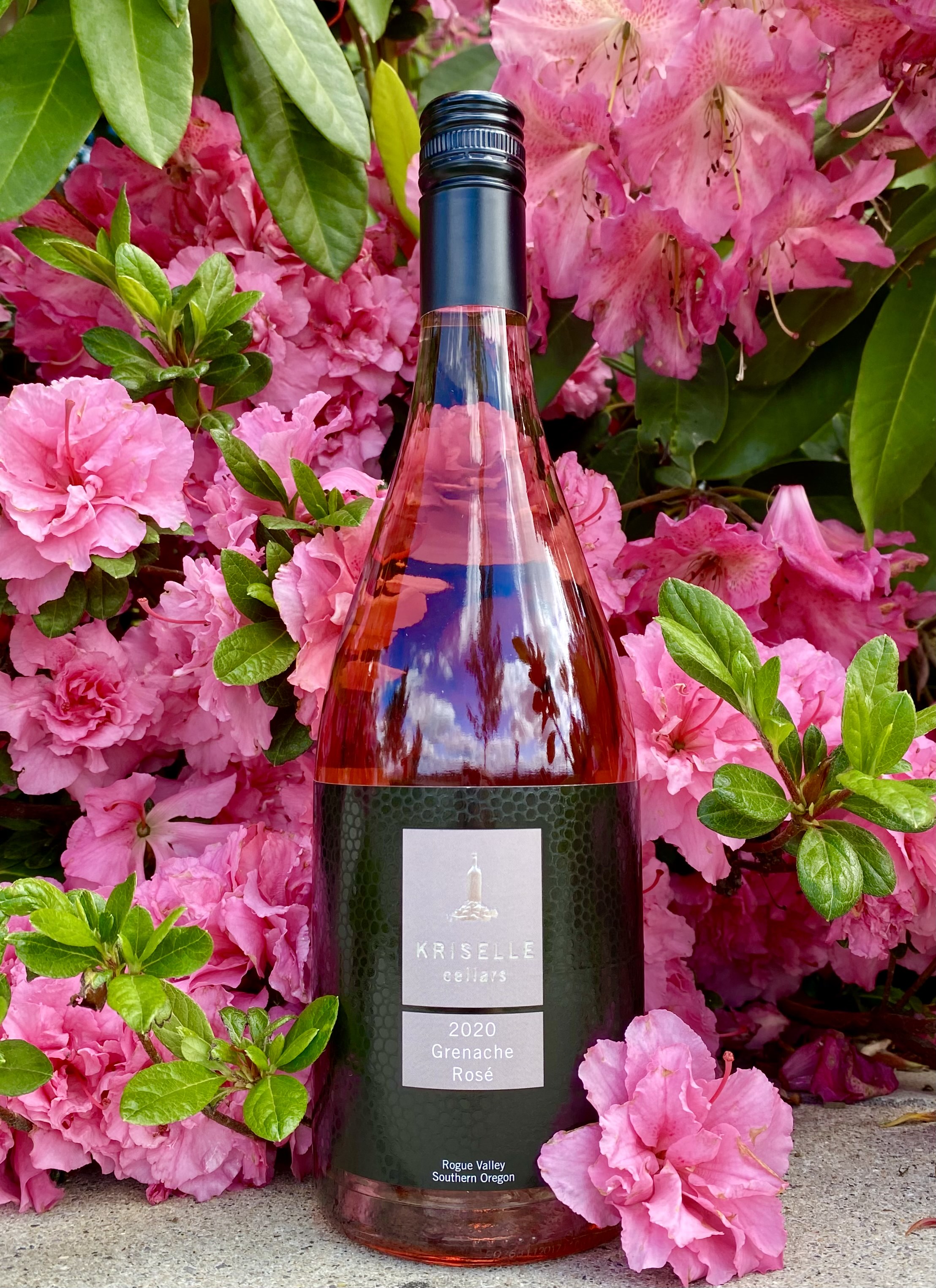 Product Image for Grenache Rose